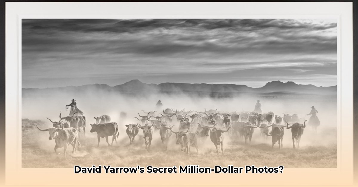 david-yarrow-net-worth